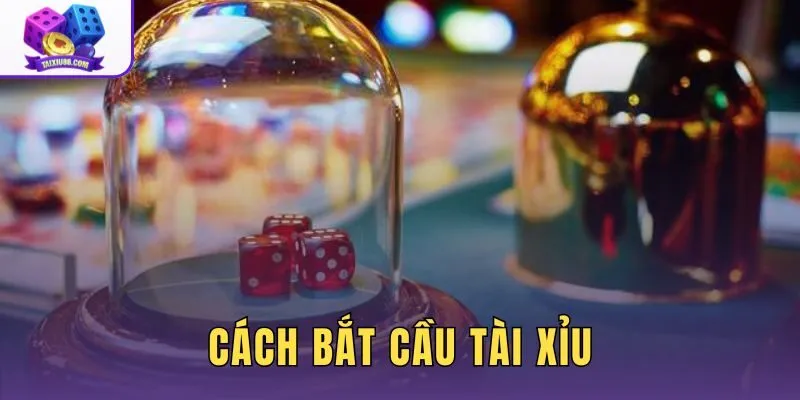 Cách Bắt Cầu Tài Xỉu