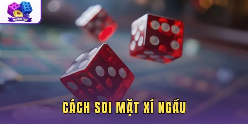 Cách Soi Mặt Xí Ngầu