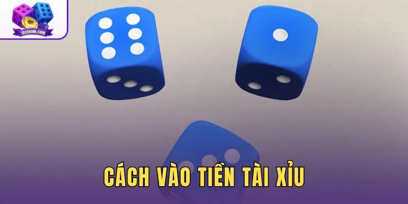 Cách Vào Tiền Tài Xỉu