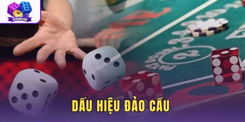 Dấu Hiệu Đảo Cầu