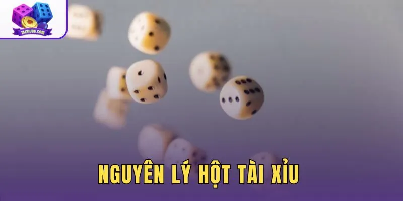 Nguyên Lý Hột Tài Xỉu