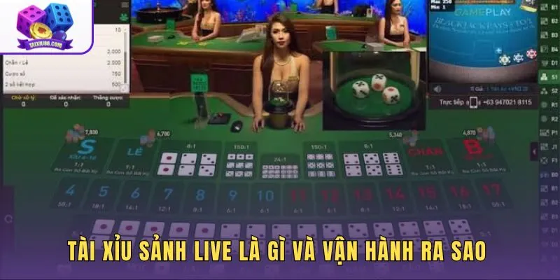 Tài xỉu sảnh live với dealer thật và cơ chế phát hình thời gian thực