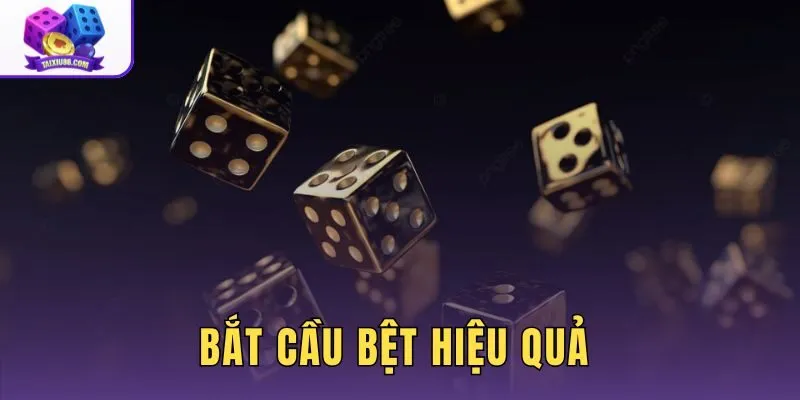 Bắt Cầu Bệt Hiệu Quả