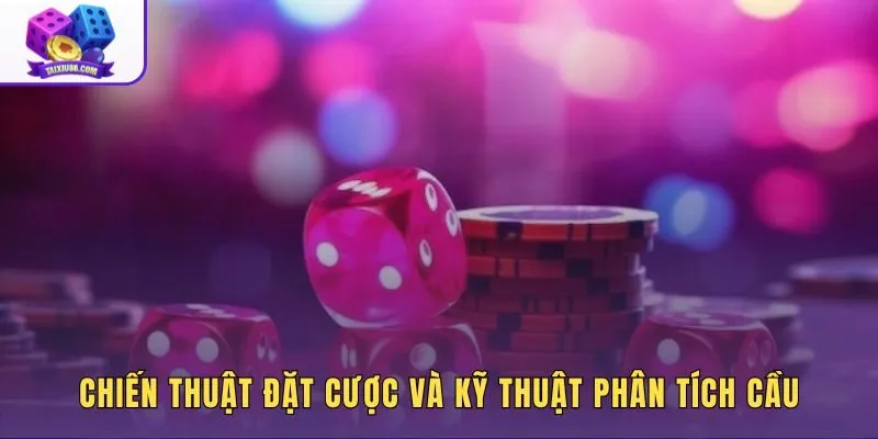 Mẹo tối ưu lợi nhuận qua hệ thống cược phù hợp sức vốn
