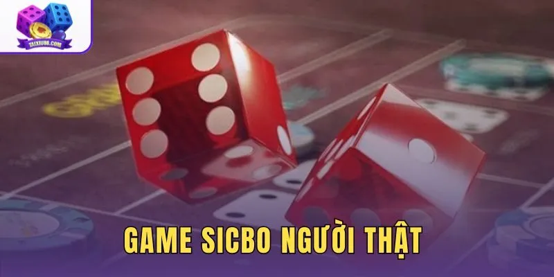 Game Sicbo Người Thật