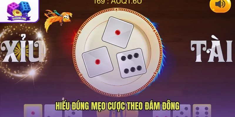 Mẹo cược theo đám đông qua góc nhìn tâm lý bàn