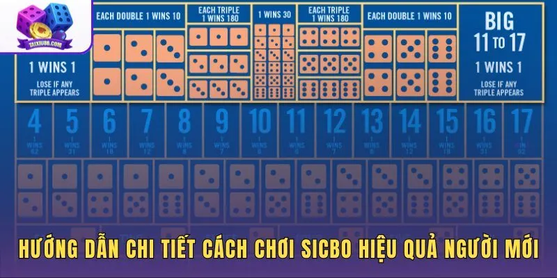 huong-dan-chi-tiet-cach-choi-sicbo-hieu-qua-cho-nguoi-moi