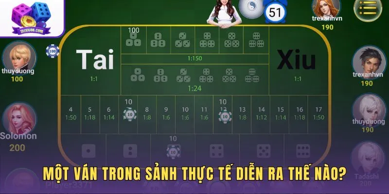 Tài xỉu sảnh thực tế với trình tự đặt cửa xem kết quả
