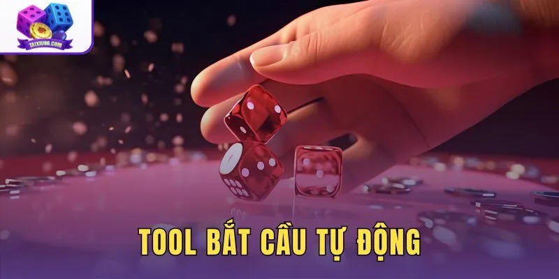 Tool Bắt Cầu Tự Động