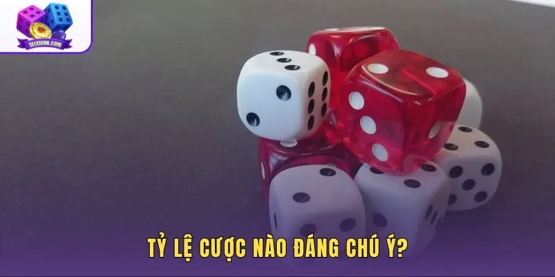 Sảnh Sicbo tỷ lệ cao qua nhóm cửa trả thưởng nổi bật