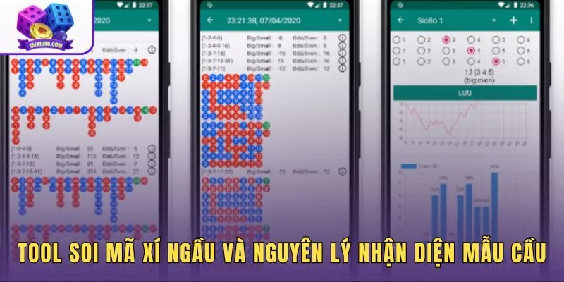 Tool soi mã xí ngầu và nguyên lý nhận diện mẫu cầu